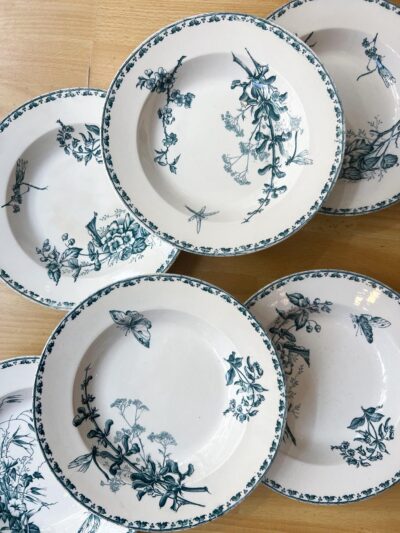 6 assiettes creuses anciennes terre de fer Sarreguemines