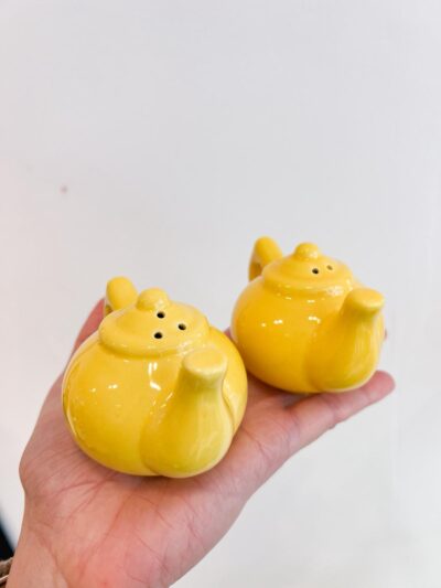 Salière et poivrière forme de théière